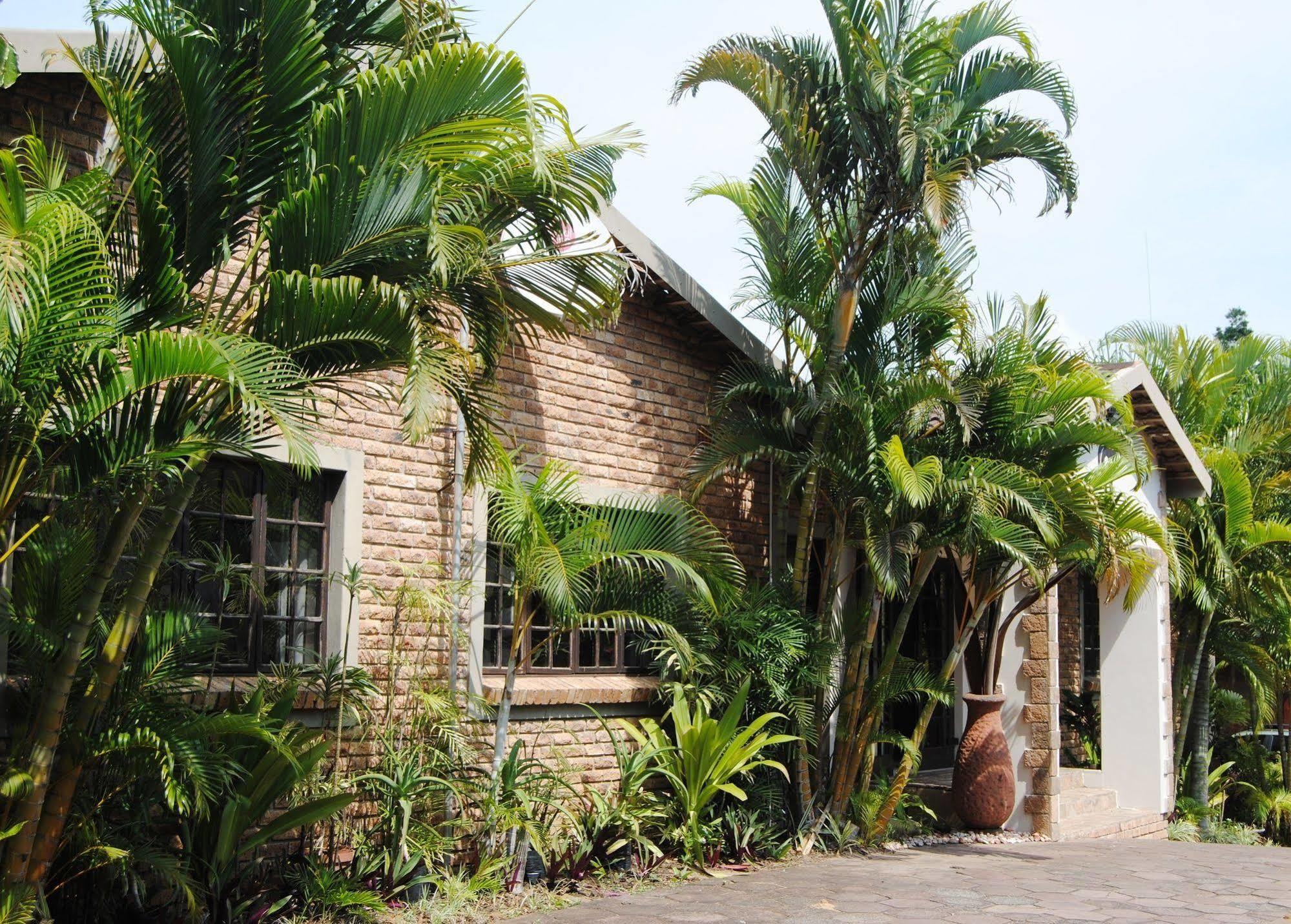 African Dreamz Guest House Saint Lucia Estuary Esterno foto